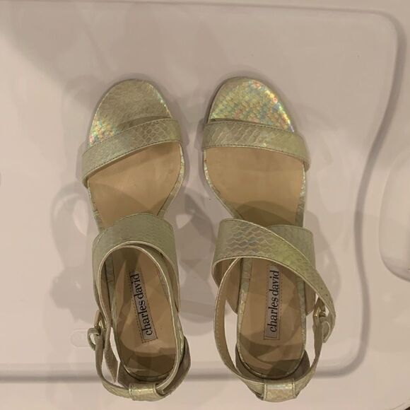 Charles David Iridescent Green SnakeSkin Heels size 6! In excellent condition - Picture 1 of 3